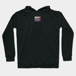 Panoramic Splendor of Jerusalem Hoodie